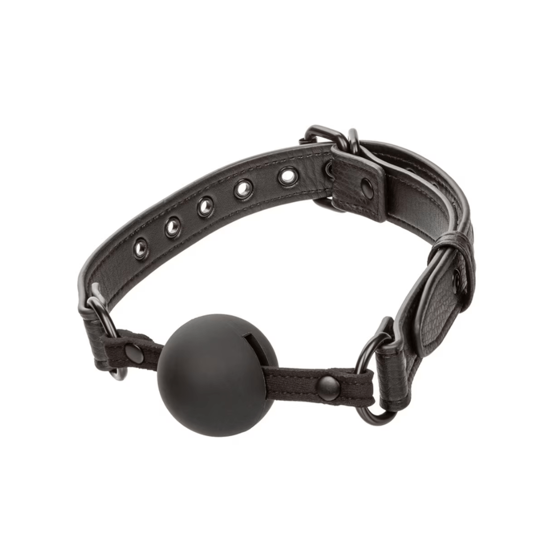 Nocturnal Collection Ball Gag