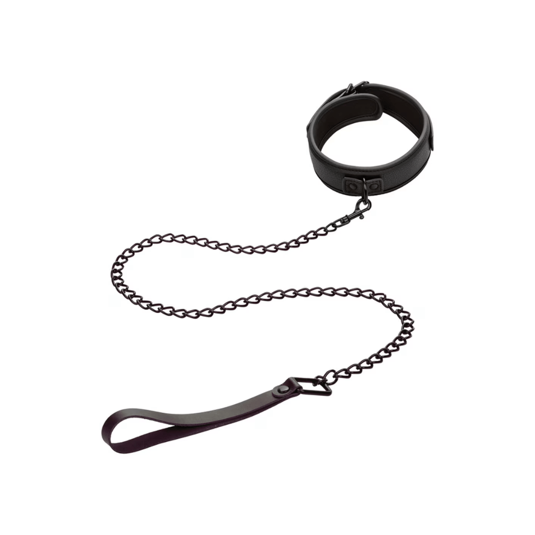 Nocturnal Collection Collar & Leash