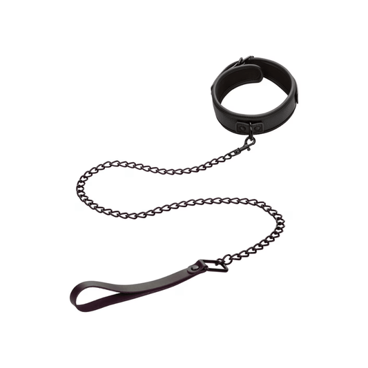 Nocturnal Collection Collar & Leash